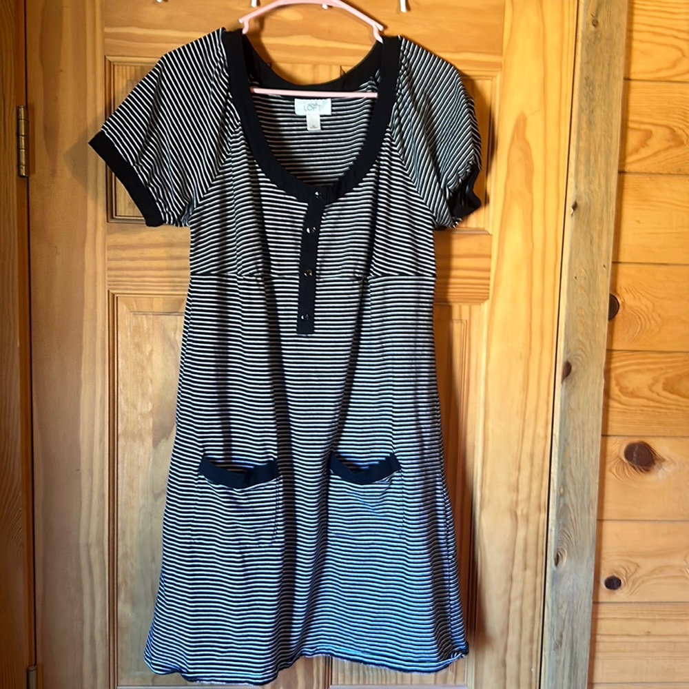 Ann Taylor Loft Black and White Striped Dress